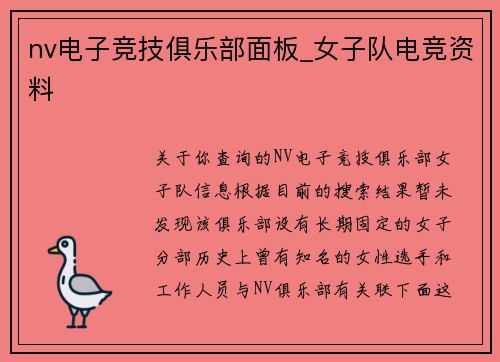 nv电子竞技俱乐部面板_女子队电竞资料
